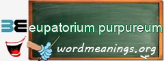 WordMeaning blackboard for eupatorium purpureum